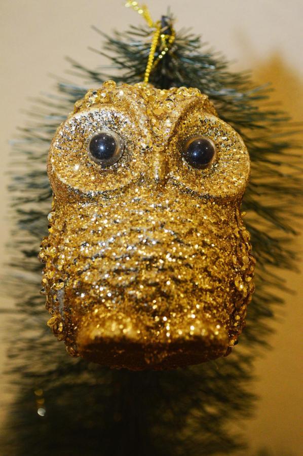 Owl Home Odessa Cozy Spacious Apartment In A Quiet Center Between Deribasovskaya And Privoz Eksteriør bilde